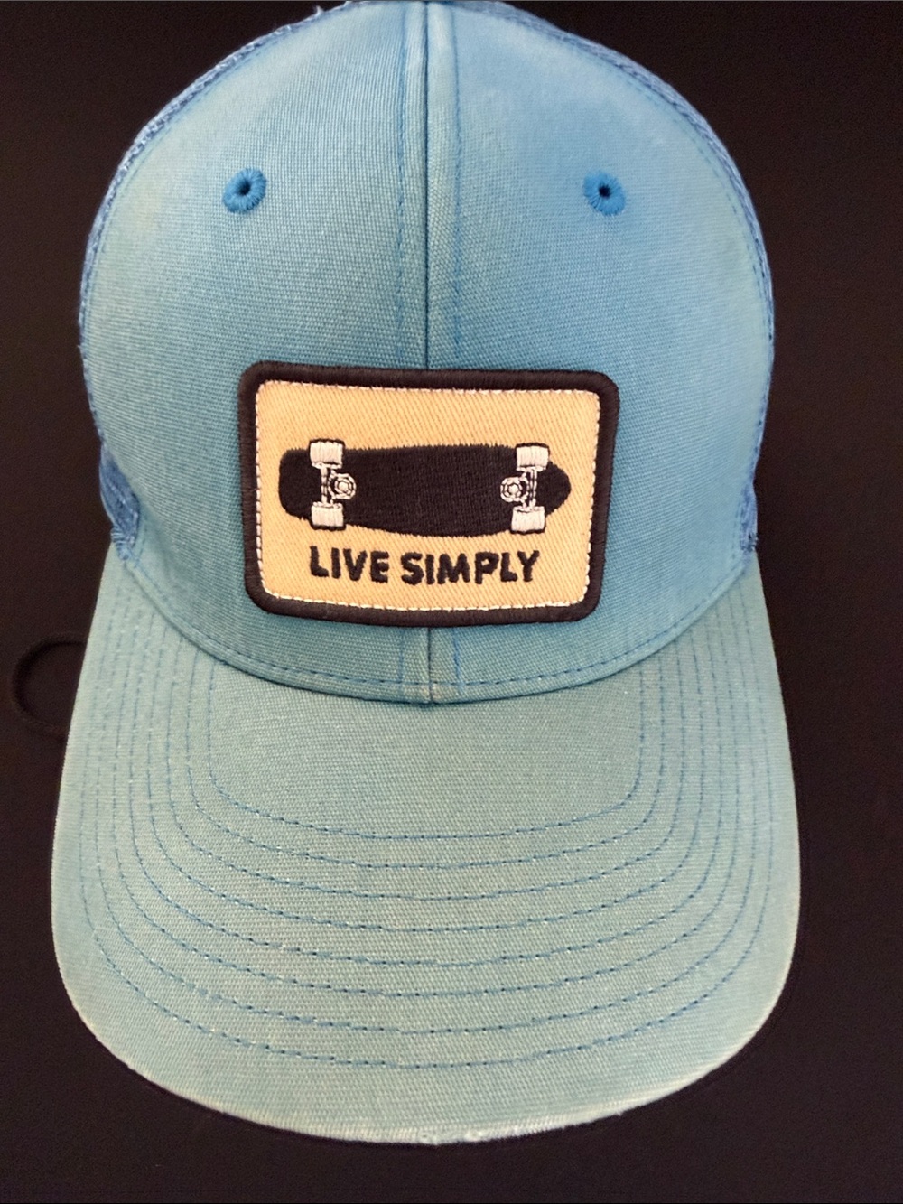 Patagonia Live Simply With Hard to Find Skateboard Logo LoPro Trucker Hat